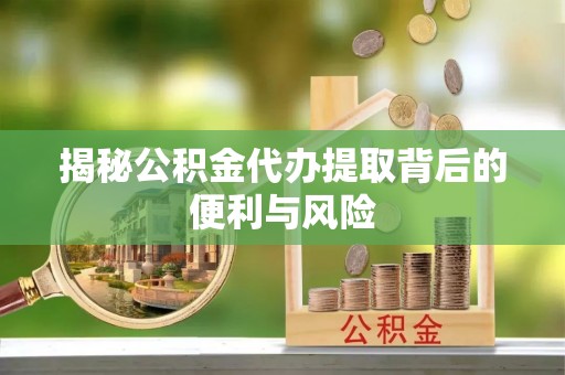 可靠揭秘公积金代办提取背后的便利与风险