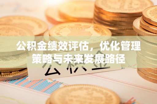 可靠公积金绩效评估，优化管理策略与未来发展路径