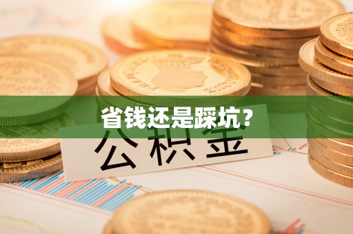 可靠省钱还是踩坑？