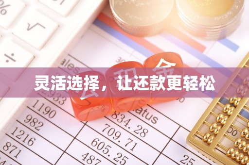 可靠灵活选择，让还款更轻松