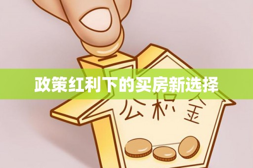 可靠政策红利下的买房新选择