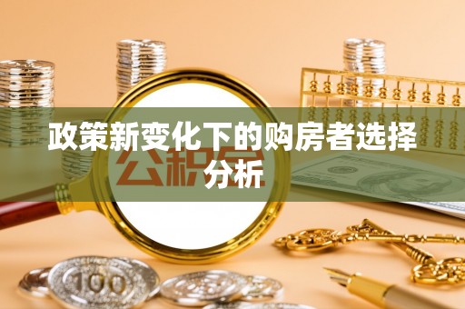 可靠政策新变化下的购房者选择分析