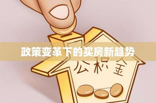 可靠政策变革下的买房新趋势