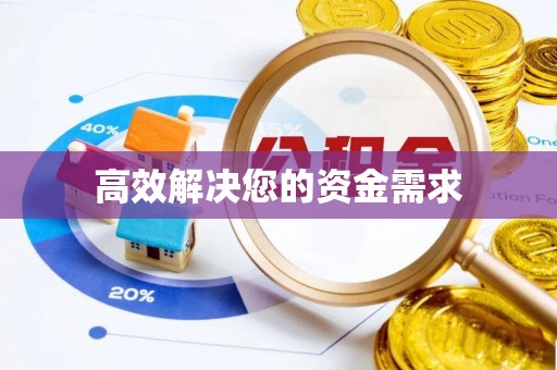可靠高效解决您的资金需求