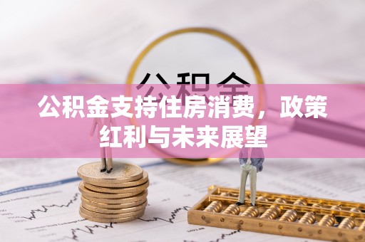 可靠公积金支持住房消费，政策红利与未来展望