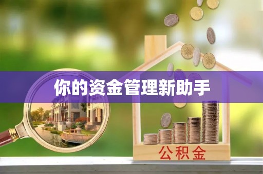 可靠你的资金管理新助手
