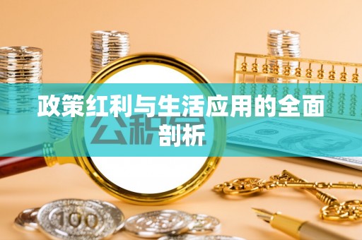 可靠政策红利与生活应用的全面剖析