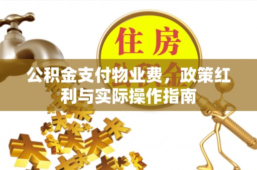 可靠公积金支付物业费，政策红利与实际操作指南