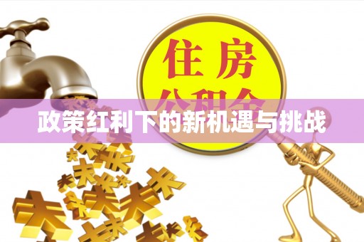 可靠政策红利下的新机遇与挑战