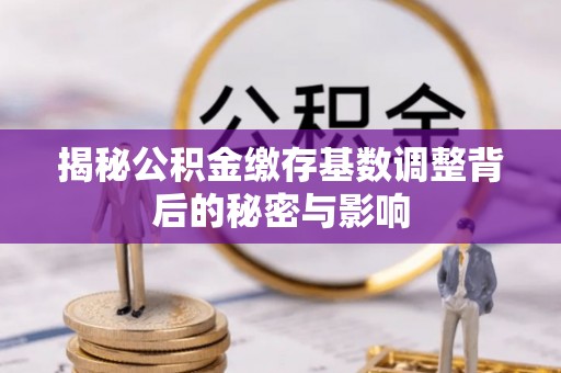 可靠揭秘公积金缴存基数调整背后的秘密与影响
