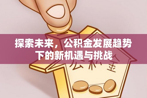 可靠探索未来，公积金发展趋势下的新机遇与挑战