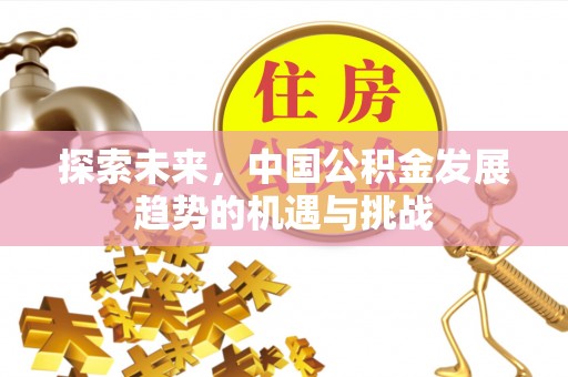 可靠探索未来，中国公积金发展趋势的机遇与挑战