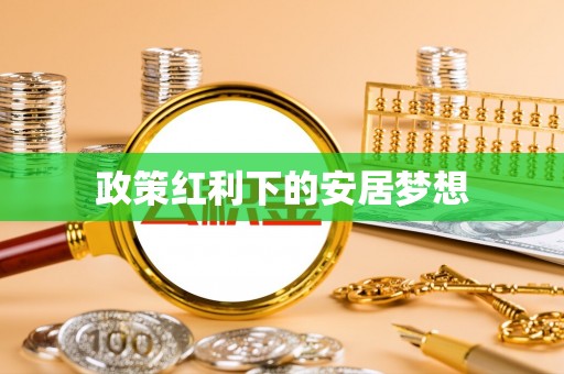 可靠政策红利下的安居梦想